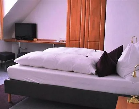 Hotel Franconia 3*